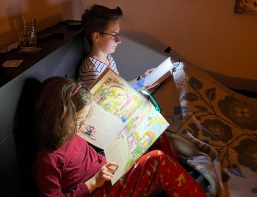 Živim svoj san: čitanje bez griže savesti