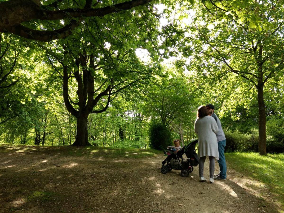 Roditelji sa dečjim kolicima u šetnji kroz zeleni park